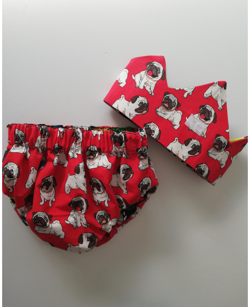 BRAGUITA Y CORONA PERRITOS